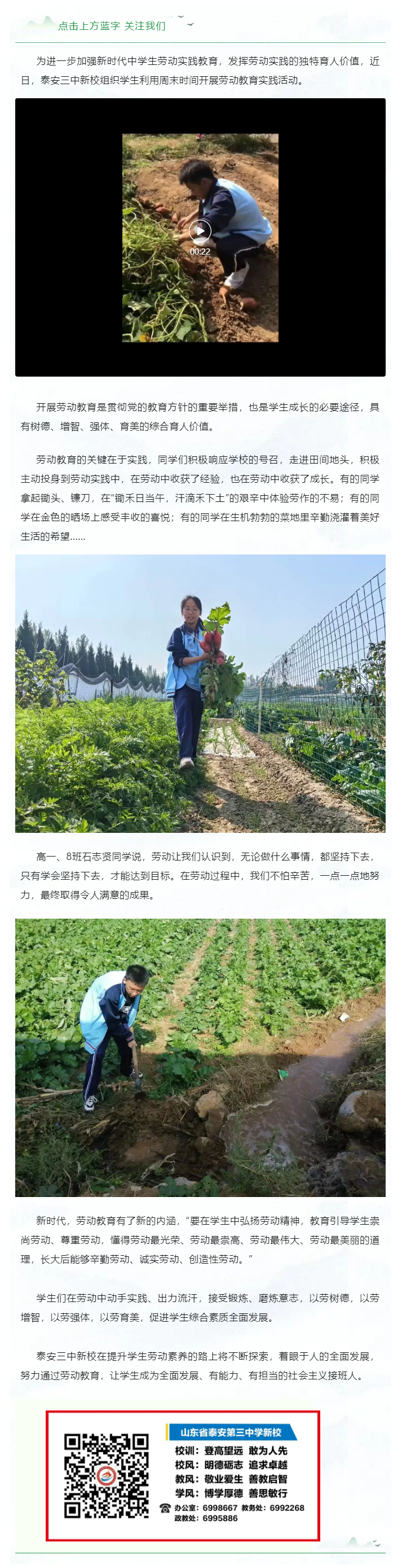 137实践学农忙，劳动助成长：泰安三中新校开展劳动教育实践活动.png